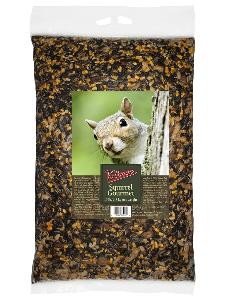 RAGIM Squirrel Langbogen – 56 Zoll, 35 Lbs – Linkshand – Ideal Für Einsteiger Ins Traditionelle Bogenschießen